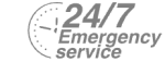 24/7 Emergency Service Pest Control in Beckenham, Elmers End, Park Langley, BR3. Call Now! 020 8166 9746