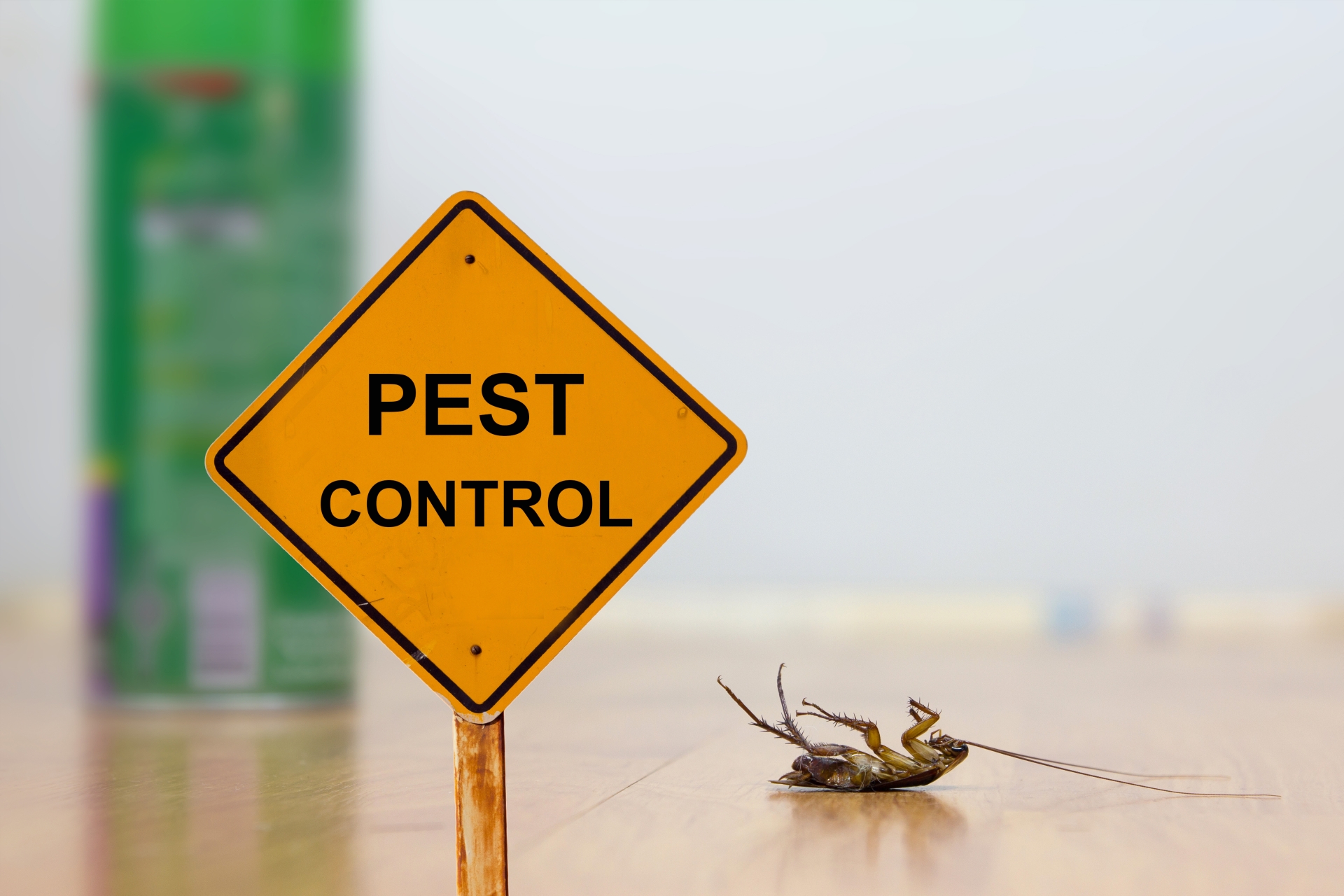 24 Hour Pest Control, Pest Control in Beckenham, Elmers End, Park Langley, BR3. Call Now 020 8166 9746